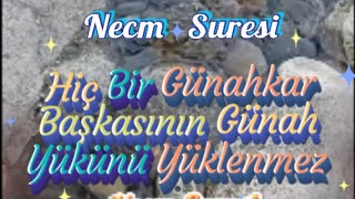 Necm Suresi 3144 Ayet Meali [upl. by Nerland]