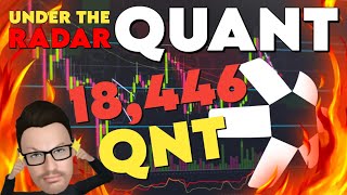 🚨 QUANT  18446 QNT S  INDONESIA LINKS TO RTGS  TX UNDER RADAR QNT QUANTCOIN QUANTCRYPTO [upl. by Silverman]