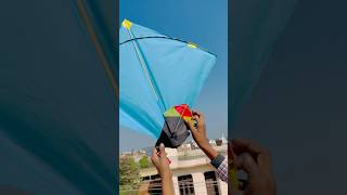 SMALL KITE VS BIG KITE 🤩 shorts youtubeshorts [upl. by Phelgon]