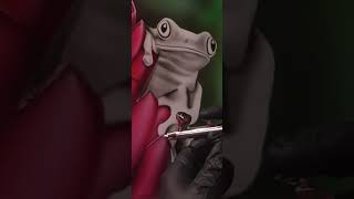 Airbrush frog speed painting how to paint shorts [upl. by Lyons911]