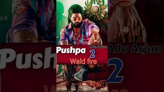 Pushpa 2 movie  pan india movie  shortvideo shorts [upl. by Myrlene]