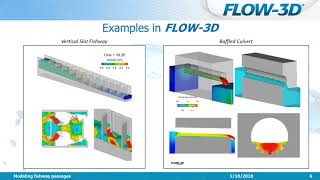 Modeling fishway passages  FLOW3D Webinar [upl. by Joerg]