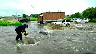 City Drain Rescue Clearing Clogged Passages to Mitigate Flash Flood Emergencies [upl. by Binny235]