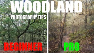 7 Simple Beginner Tips for Woodland Photography [upl. by Trutko507]