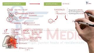 Cardiología  01 Cardiopatía isquémica [upl. by Drofiar]