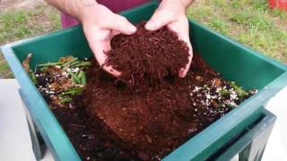 Vermicomposting With The Worm Factory 360 [upl. by Nalliuq]