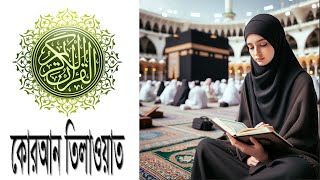 Best quran tilawat  quran  surah  live quran tilawat  Quran Tilawat  sikhun sura [upl. by Mecke]