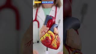 How Do Defibrillators Restart a Heart 🤔 shorts [upl. by Allehc]