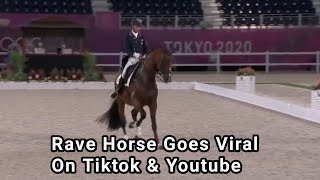 Rave Horse Mopsie Rages in Olympic Dressage Freestyle  Rave Horse Goes Viral  MRN News Tv [upl. by Newkirk236]