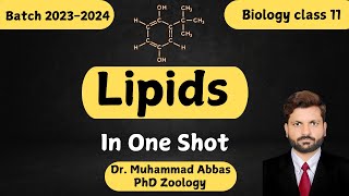 Lipids Explained The ONE SHOT Guide [upl. by Strander195]