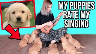 singing to my 6 puppies so cute you will cry [upl. by Elmaleh]