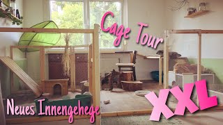 Neues XXL Innengehege für Kaninchen  Cage Tour [upl. by Syman706]