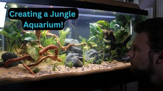 40 gallon Beginner Jungle Aquascape Tutorial [upl. by Sorensen115]