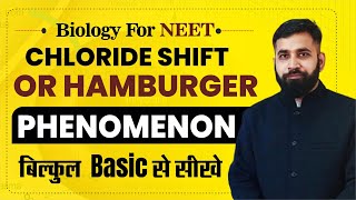 Chloride shift or Hamburger phenomenon NEET BIOLOGY [upl. by Elayne]