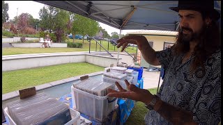 NO 8 NAMBOUR COLLECTORAMAANTIQUE FAIR JOELS STALL RECORDS A YARN AND SOME CRICKET [upl. by Nyrahs]