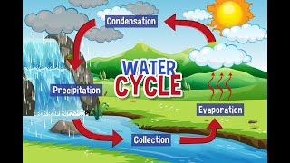 how the water cycle works  hydrological cycle explained [upl. by Eboh]