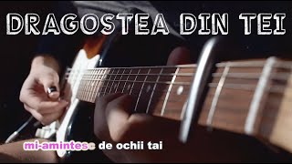 Dan Balan amp Katerina Begu – Dragostea Din Tei  guitar cover [upl. by Eivets]