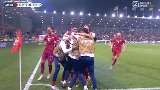 Aleksandar Mitrovic Goal Serbia vs Switzerland 20 All Goals and Extended Highlights [upl. by Nibbor]