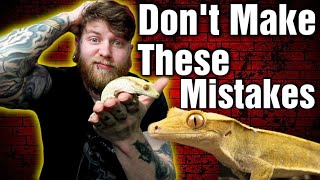 Stop Doing This Top 5 Crested Gecko Mistakes amp How To Avoid Them [upl. by Trevethick569]