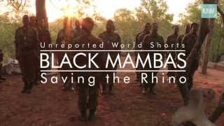 Black Mambas Saving The Rhino  Unreported World Shorts  Channel 4 [upl. by Bonnell715]