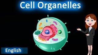 Cell Organelles  3D animated explanation  class 9th  the fundamental unit of life [upl. by Akirre]