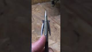 BEAST broadhead is epic broadhead short [upl. by Milano]