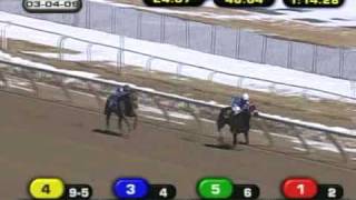 Horrifying Horse Racing Accident [upl. by Aramoy]