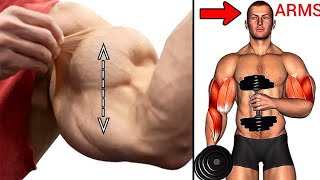 Top 14 Biceps Workouts at gym Biceps workout [upl. by Brooks]