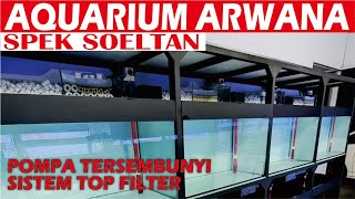 AQUARIUM ARWANA SPEK SOELTAN TERLENGKAP BERGARANSI [upl. by Ecidna]