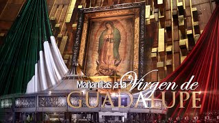 MAÑANITAS A LA VIRGEN DE GUADALUPE 2024  ANESMA TV [upl. by Boorman]