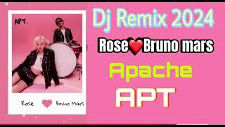 Dj Remix MyanmarMini Nonstop Viral Tiktok 2024  Apache Music Clube [upl. by Humberto707]