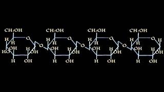 Formazione polisaccaridi [upl. by Tiebold489]