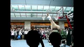 Dwight Howard quotGiraffe DunkquotRoppongi HIllsJapan [upl. by Rephotsirhc614]