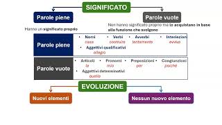 La morfologia il nome il significato [upl. by Edniya27]