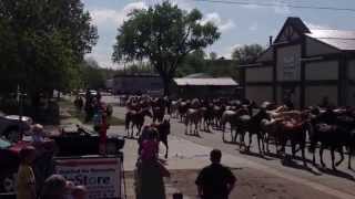 Eatons ranch horse drive through Sheridan WY [upl. by Dahsraf]