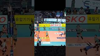 Double Spike Mega Pelatih lawan ngamuk  Redsparks VS GS Caltex megawatihangestri ligavolikorea [upl. by Thessa514]