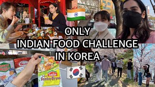 🇰🇷24 HOURS INDIAN FOOD CHALLENGE IN KOREA🇮🇳  Korean spring 🌸cooking amp shopping 🛍 [upl. by Adamok]