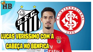 LUCAS VERÍSSIMO  BENFICA ESCLARECIMENTO DE ORLANDO ROLLO [upl. by Rayna]