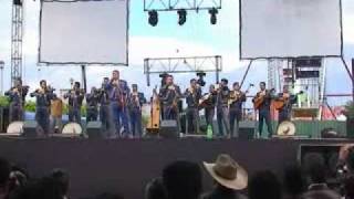 MARIACHI INT LOS PEREZ CHIQUITA DE MIS AMORES [upl. by Maggy546]