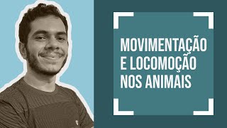 Movimentação e sustentação nos animais [upl. by Salakcin]