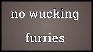 No wucking furries Meaning [upl. by Leirua]