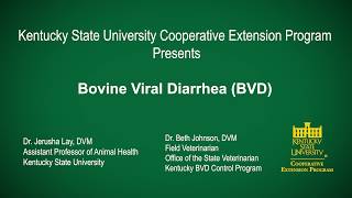 Bovine Viral Diarrhea BVD May 2020 4th Wednesday Workshop [upl. by Siroval]