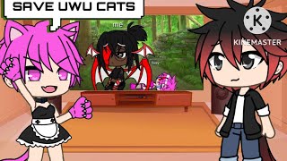 UwU cat and alpha bad boy reacts to saving UwU cats from abusive UwU cat [upl. by Hertzog115]