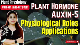 Plant Hormone Auxin Part5 Physiological Roles of Auxin  Applications  Functions  CSIR PYQs [upl. by Aicenek725]