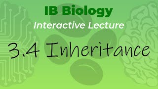 IB Biology 34  Inheritance  Interactive Lecture [upl. by Dalpe]