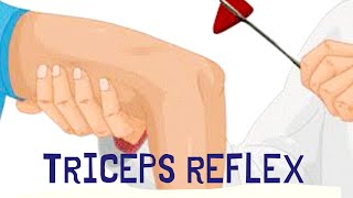 Triceps Deep Tendon Reflex  Deep Tendon Reflexes [upl. by Klingel]