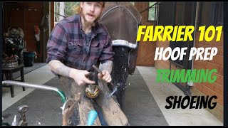 Trimming amp Shoeing Horses Like I Do Everyday Farrier [upl. by Airamana]