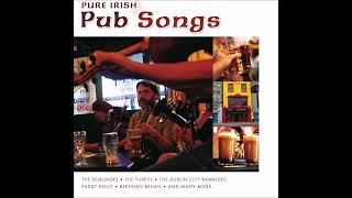 Irish Pub Songs Collection  Essential Irish Pub Songs  Irishdrinkingsongs [upl. by Dalston356]