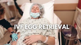 IVF Egg Retrieval  Egg Count Going Under Anesthesia and Final Embryo Results [upl. by Frechette223]