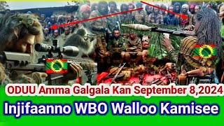 ODUU AMMEE Haraa Galgala Kan Amma Nu Gahe September 82024 injifaanno WBO Walloo Kamisee [upl. by Amo136]